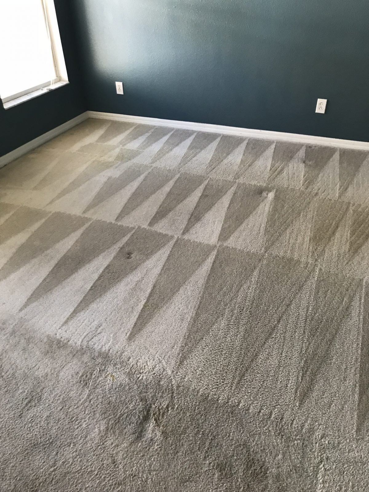 Professional Carpet Cleaning Amberley Ohio by Howards Cleaning Service