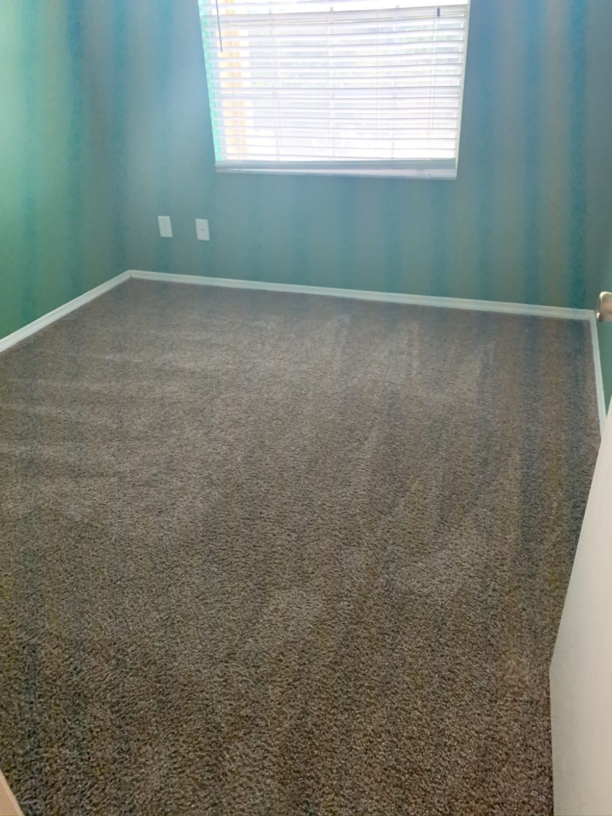 Professional Carpet Cleaning Dunedin Florida by Howards Cleaning Service