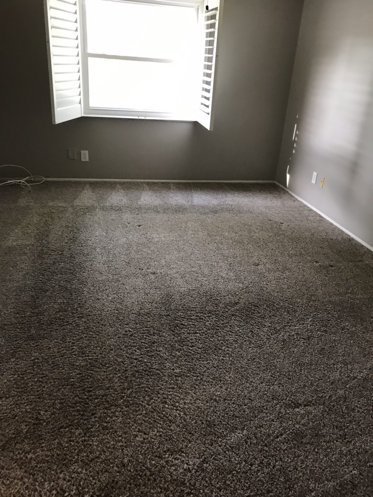 Professional Carpet Cleaning Holiday Florida by Howards Cleaning Service