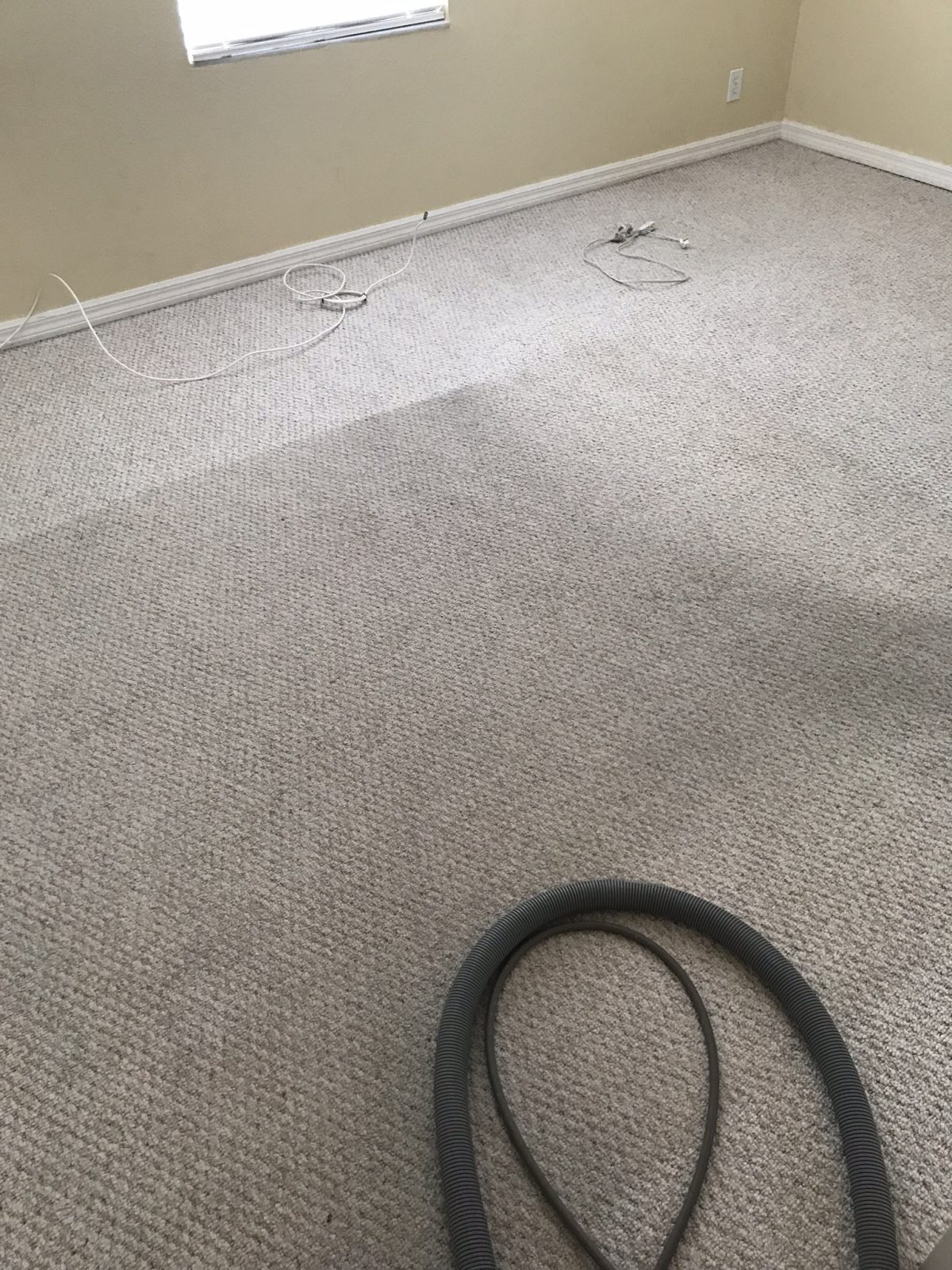 Professional Carpet Cleaning Holiday Florida by Howards Cleaning Service