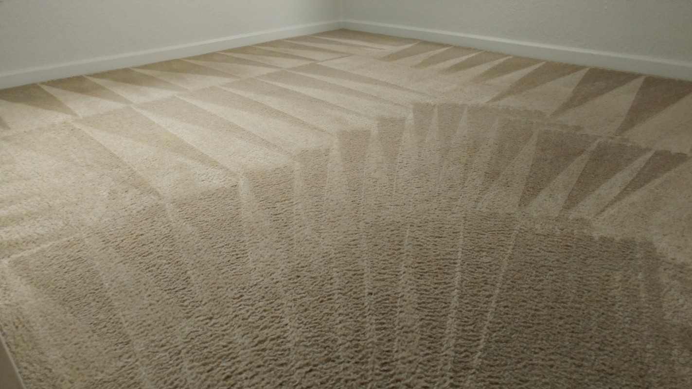 Professional Carpet Cleaning New Port Richey Florida by Howards Cleaning Service