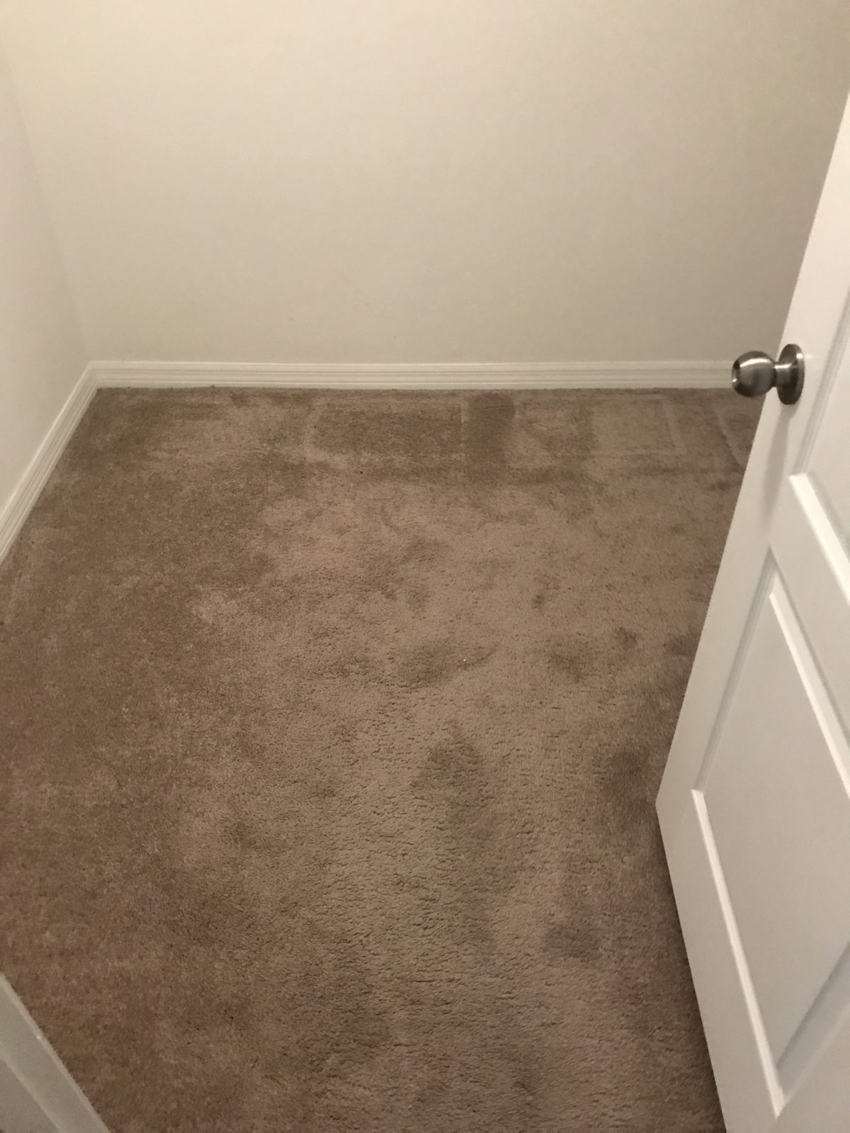 Professional Carpet Cleaning New Port Richey Florida by Howards Cleaning Service