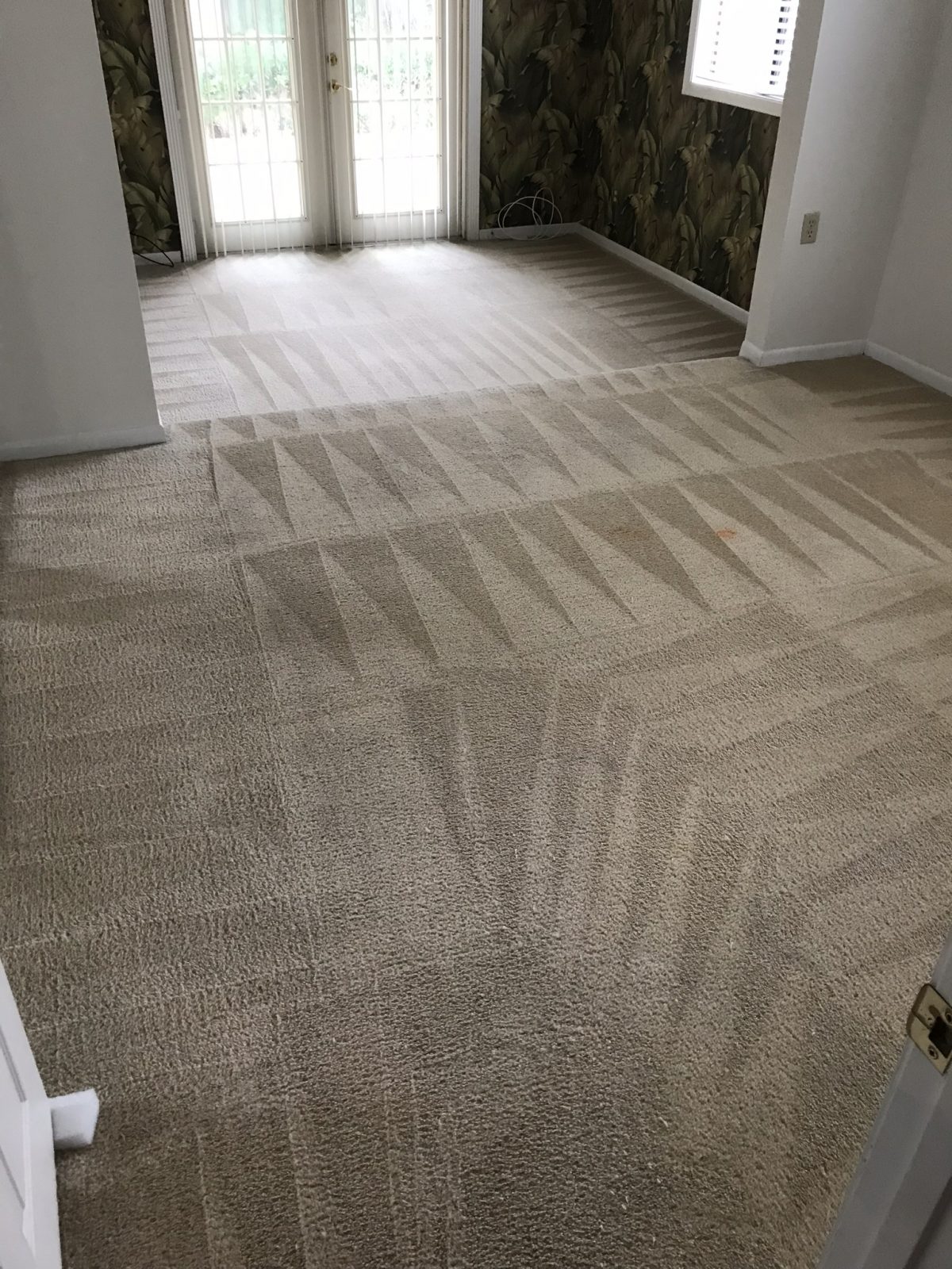 Professional Carpet Cleaning Odessa Florida by Howards Cleaning Service