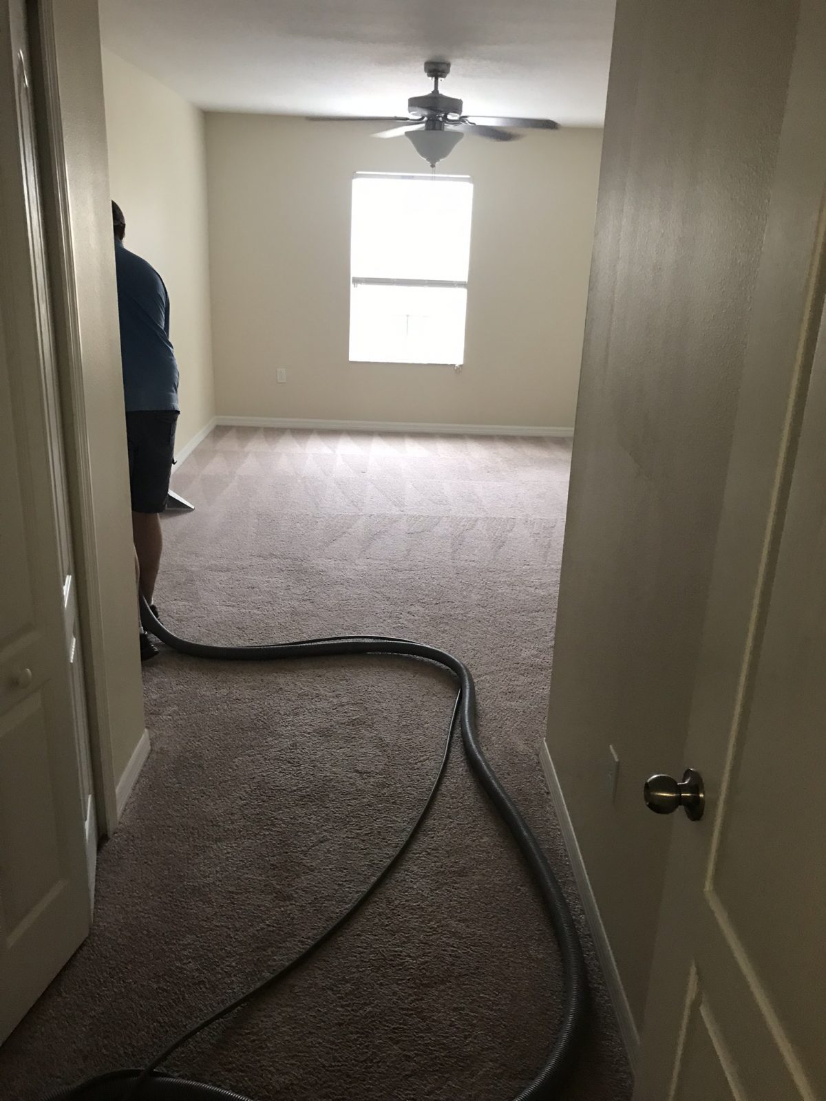 Professional Carpet Cleaning Oldsmar Florida by Howards Cleaning Service