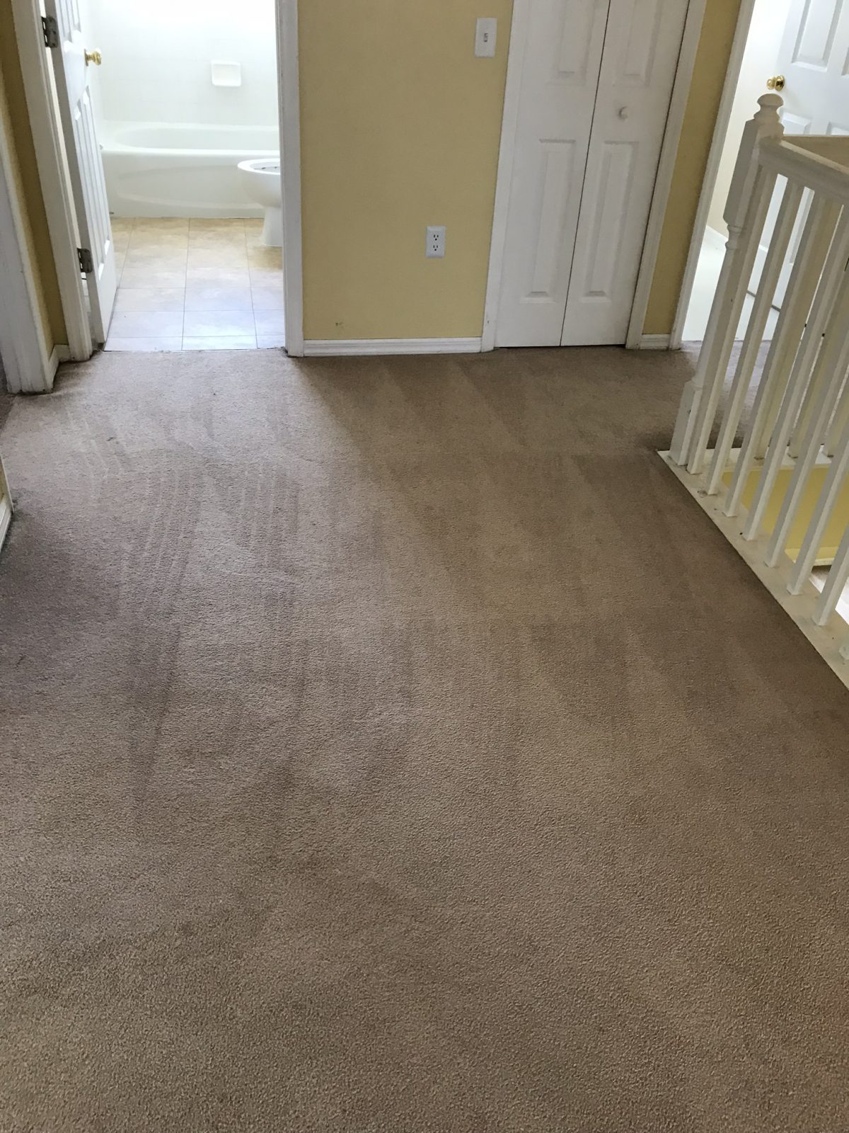 Professional Carpet Cleaning Palm Harbor Florida by Howards Cleaning Service
