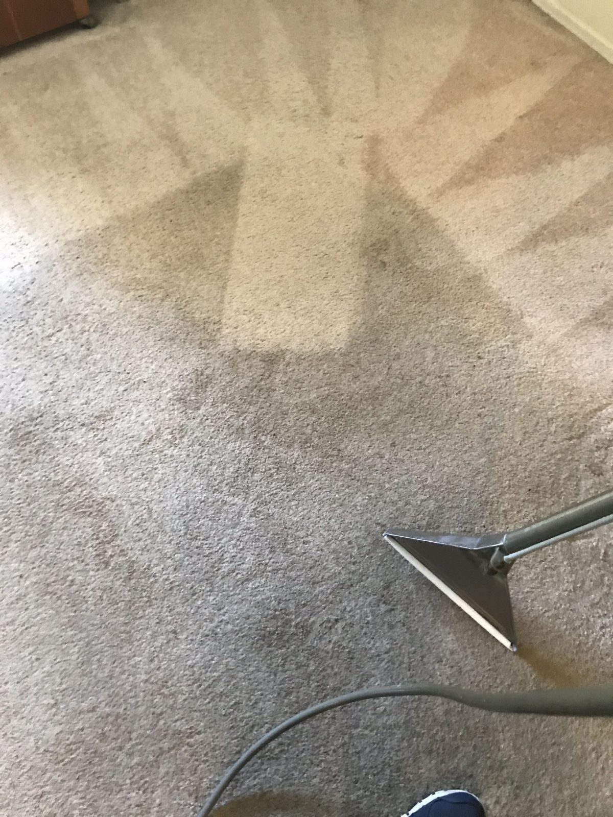 Professional Carpet Cleaning Safety Harbor Florida by Howards Cleaning Service