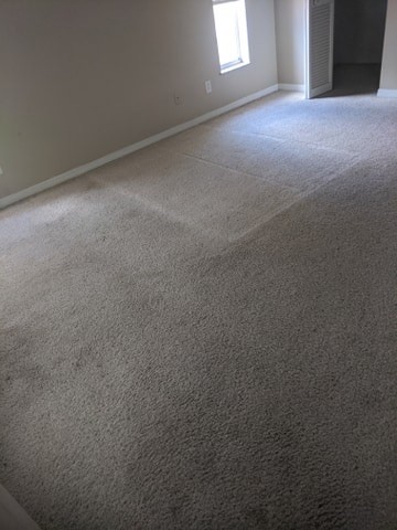Professional Carpet Cleaning Safety Harbor Florida by Howards Cleaning Service