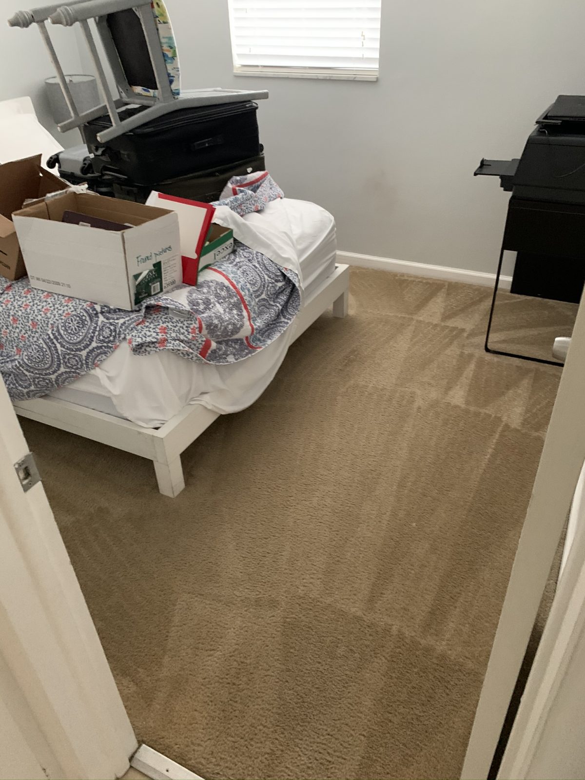 Professional Carpet Cleaning Tarpon Springs Florida by Howards Cleaning Service