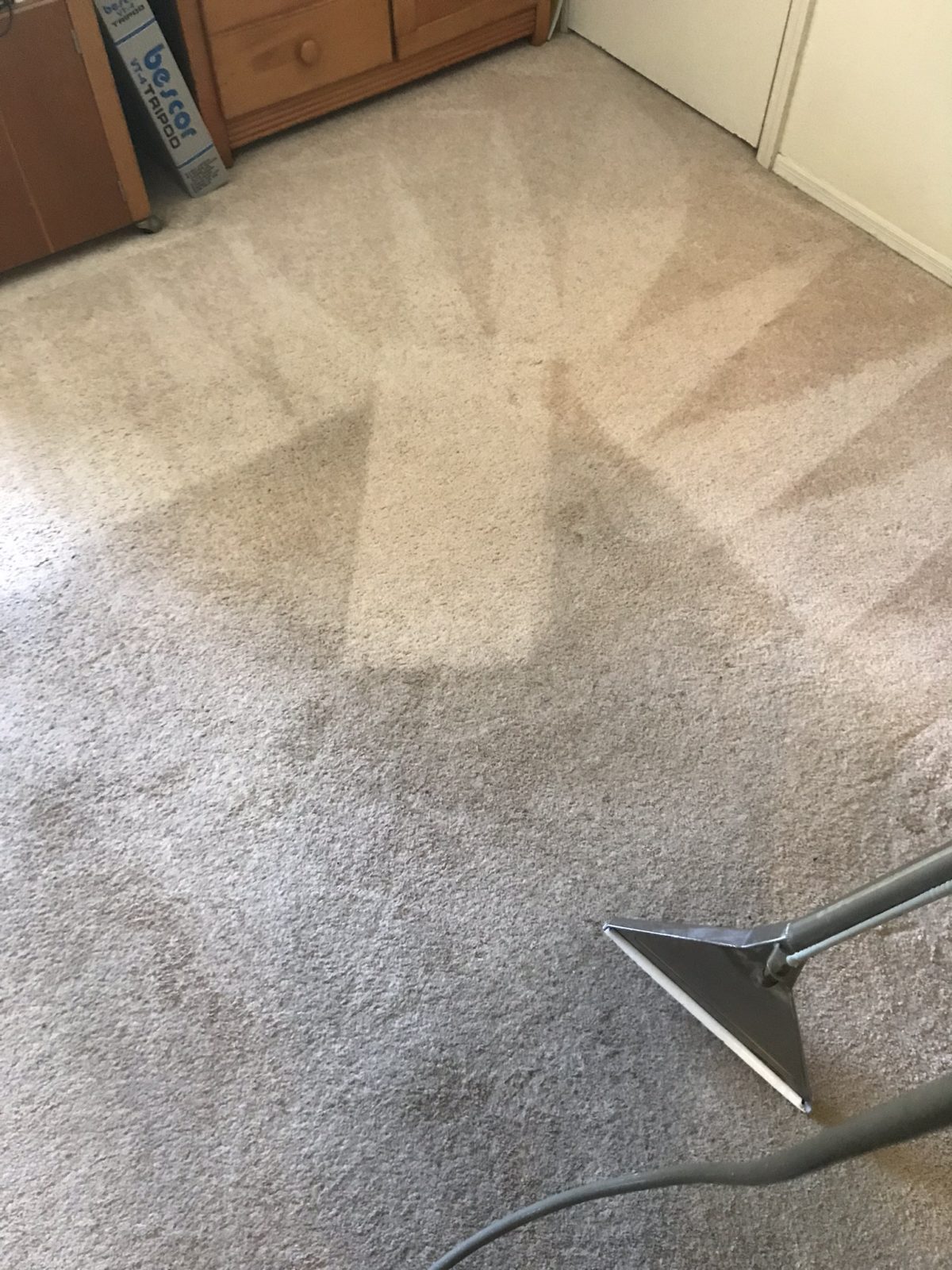 Professional Carpet Cleaning Dunedin Florida by Howards Cleaning Service