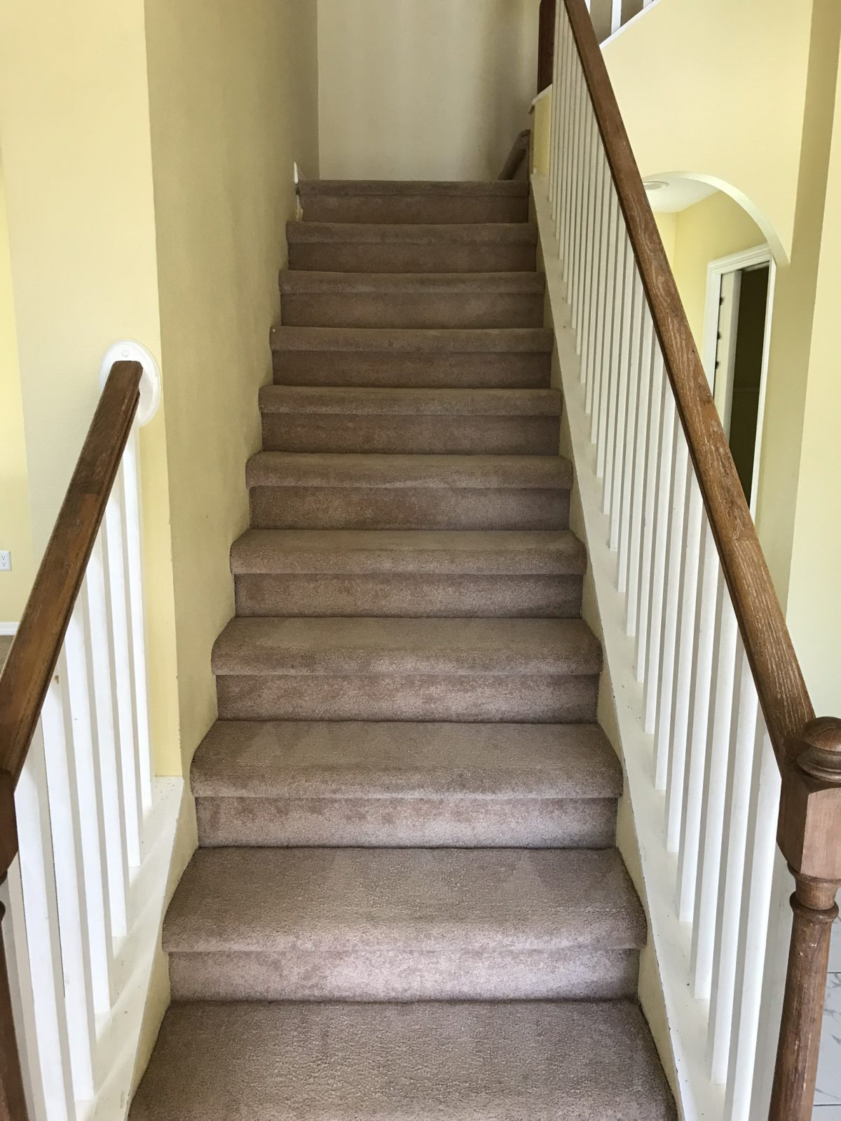 Professional Carpet Cleaning Odessa Florida by Howards Cleaning Service