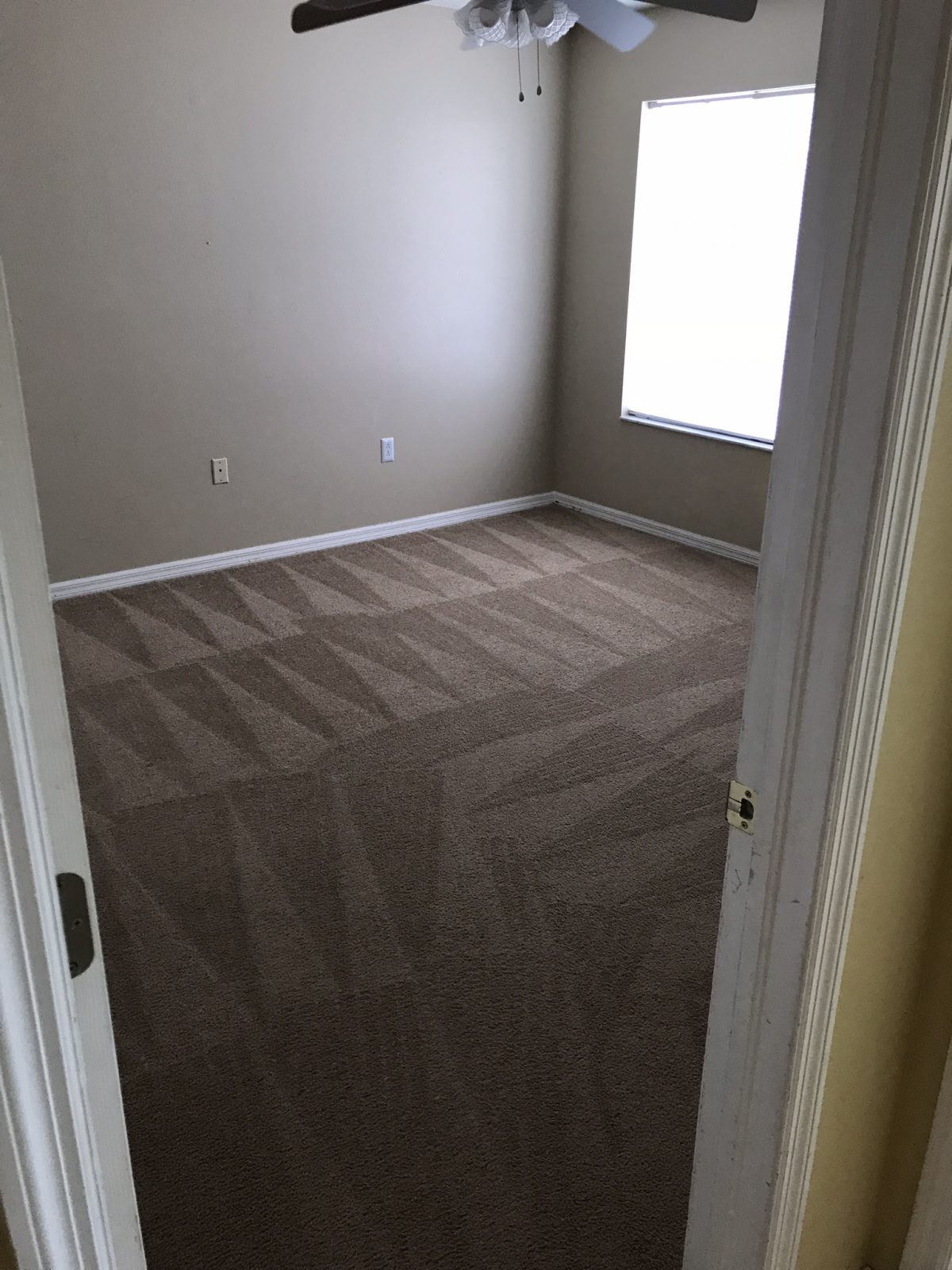 Professional Carpet Cleaning Palm Harbor Florida by Howards Cleaning Service