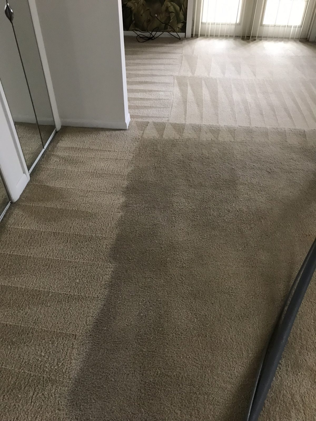 Professional Carpet Cleaning Clearwater Florida by Howards Cleaning Service