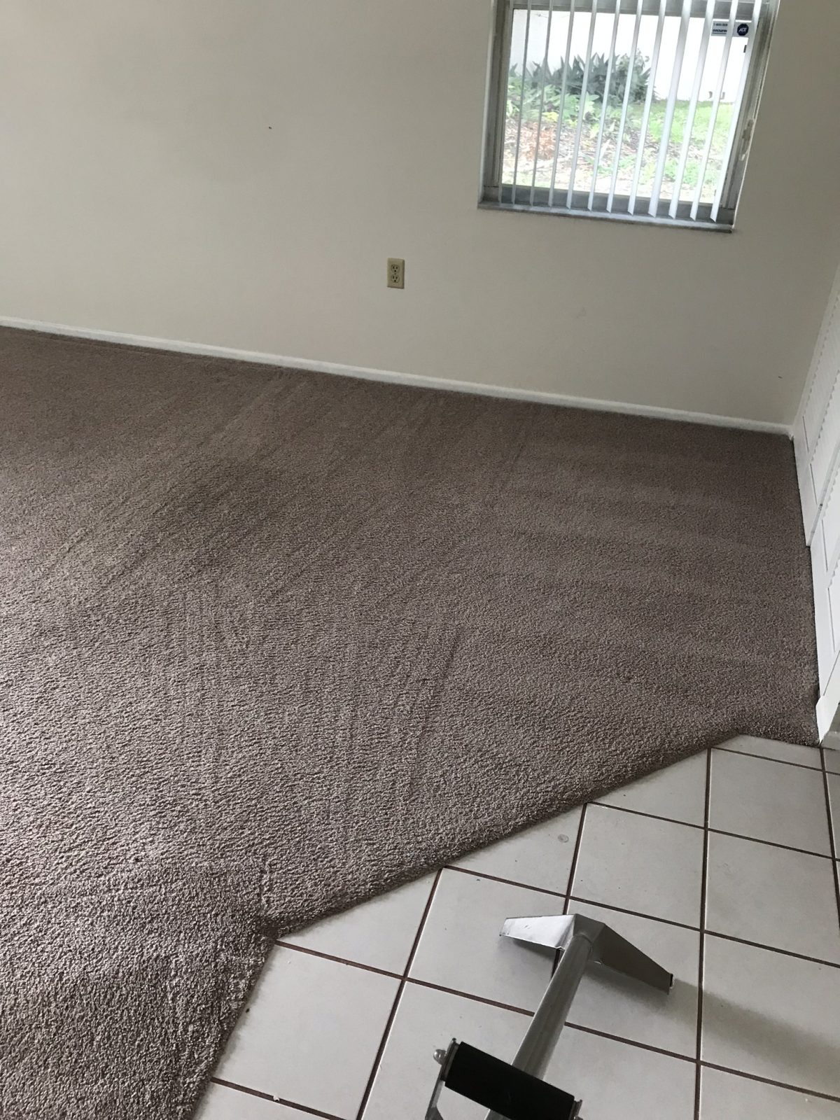 Professional Carpet Cleaning Clearwater Florida by Howards Cleaning Service