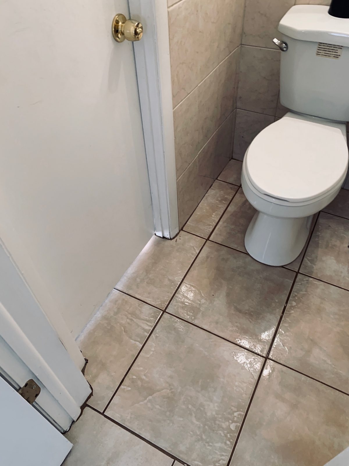 Professional Tile and Grout Cleaning Image New Port Richey Sample 8