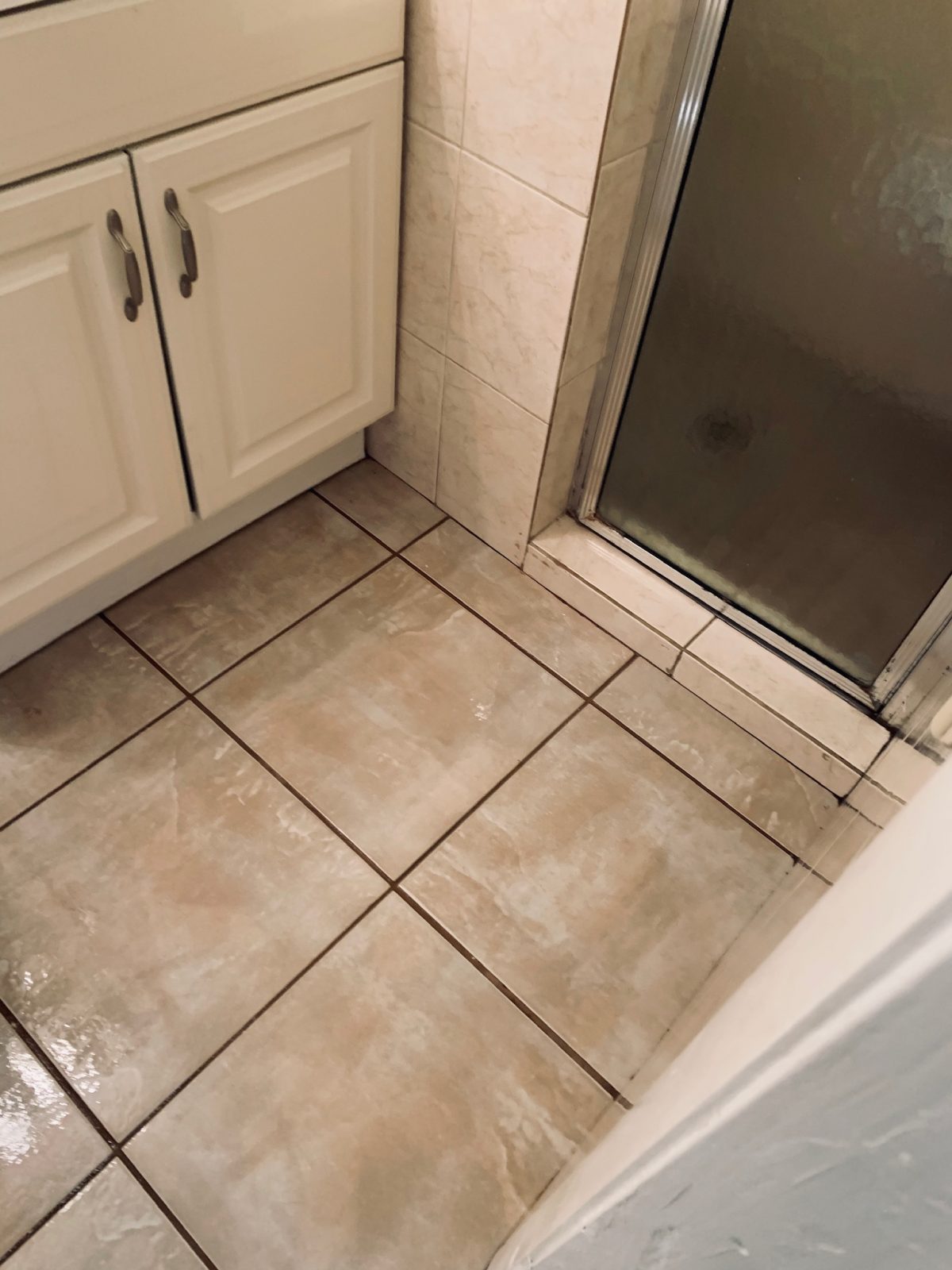 Professional Tile & Grout Cleaning Palm Harbor Florida by Howards Cleaning Service