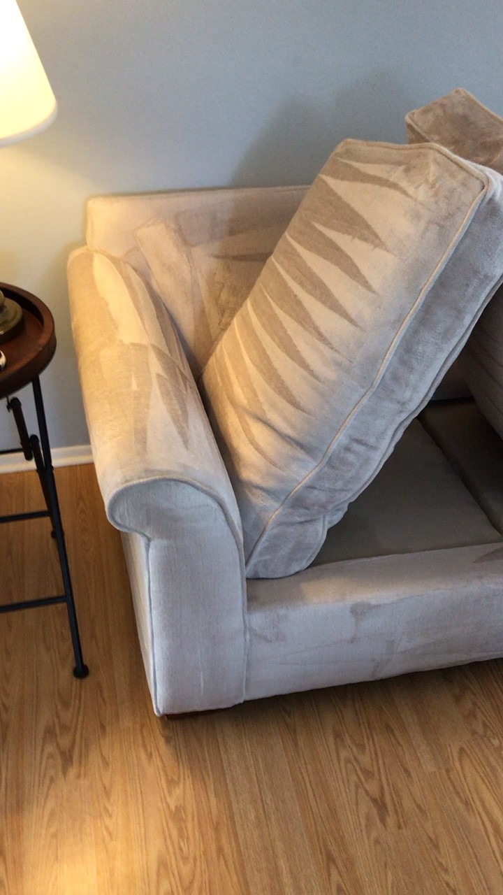 Professional Upholstery Cleaning Palm Harbor Florida by Howards Cleaning Service